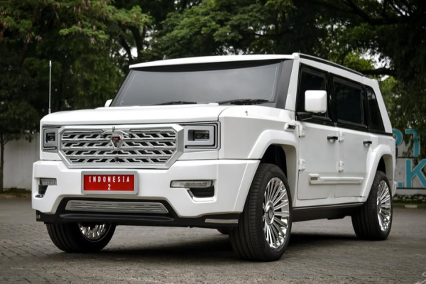 Mobil nasional