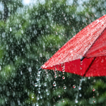 DANA Rain Protection
