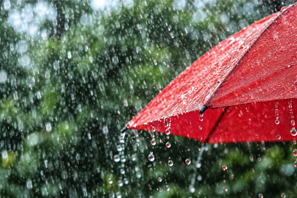 DANA Rain Protection