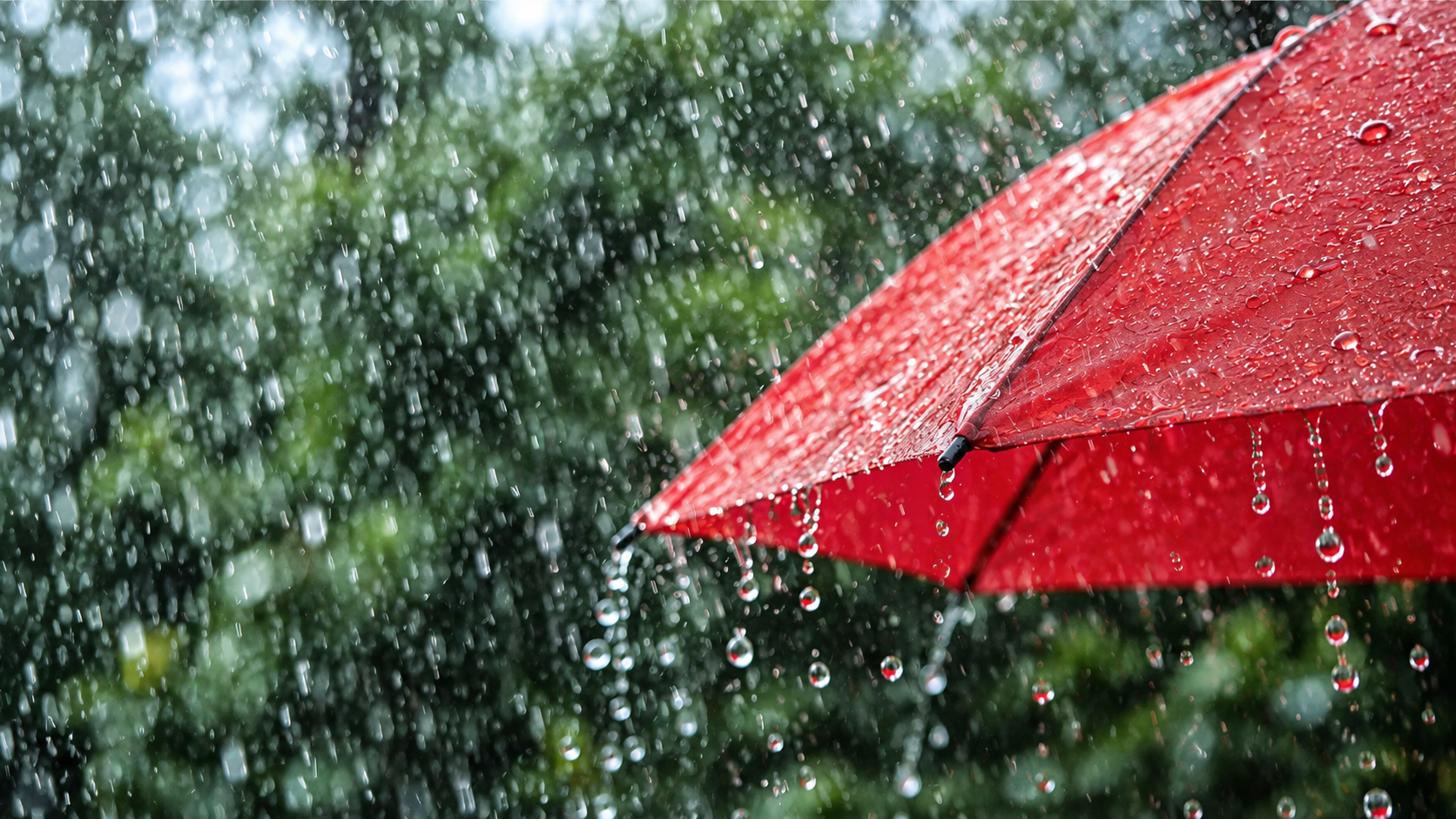 DANA Rain Protection