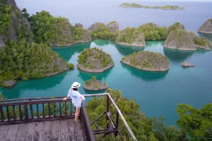 kapitalisme pariwisata