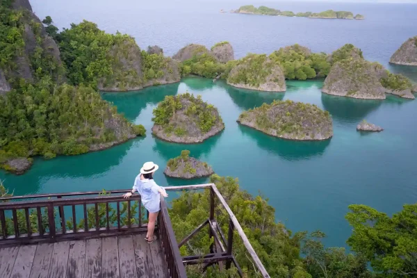 kapitalisme pariwisata
